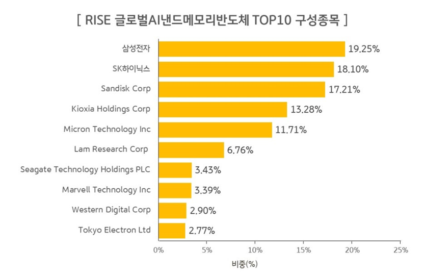 RISE 글로벌AI낸드메모리반도체 구성종목